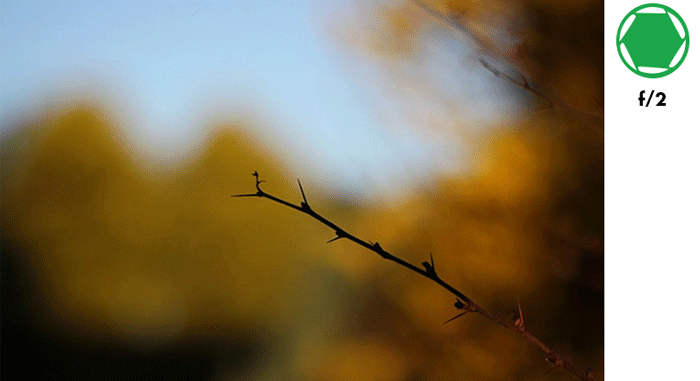 دیافراگم دوربین